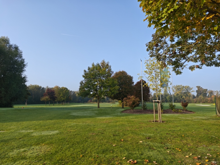 MVIMG_20251011_091702