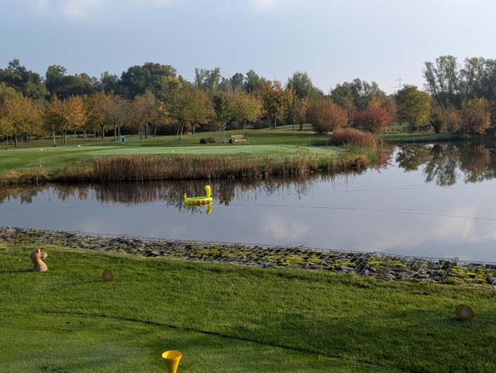 PXL_20251011_073826809.RAW-01.COVER